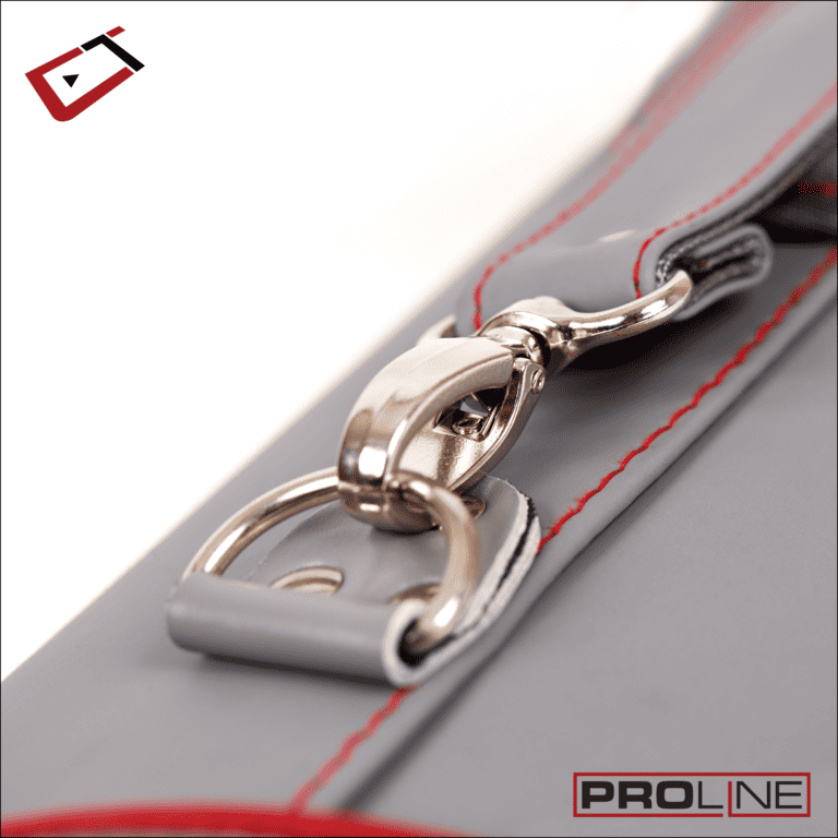 Pro Line Gray 2X4 Hard Case